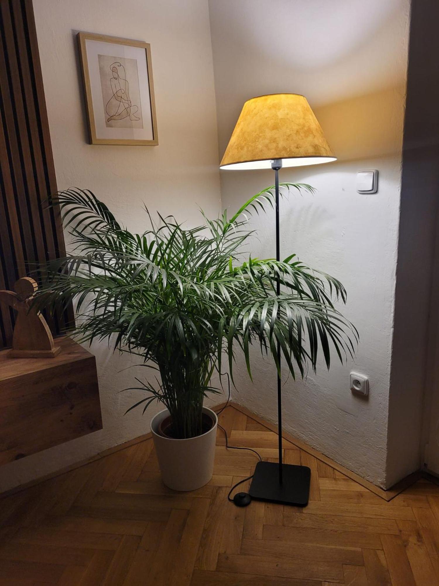 Novy Apartman Eva Jičín Dış mekan fotoğraf